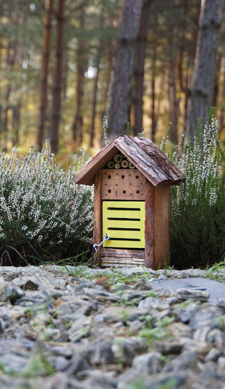 Marienkäfer- und Bienenhaus